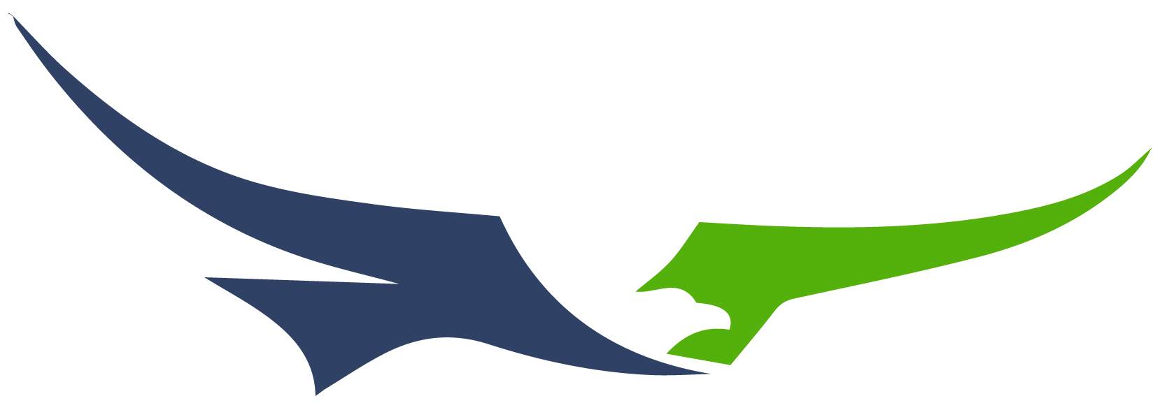 Hawk Organiser logo